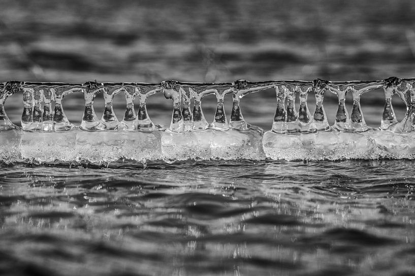 Abstrait Glace sur fil de fer barbelé par Peter Venema