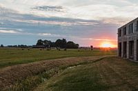 Sonnenuntergang in Aduard