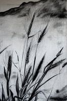 Grasses