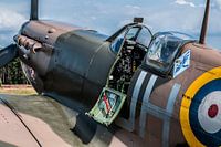 Supermariner Giftnudel