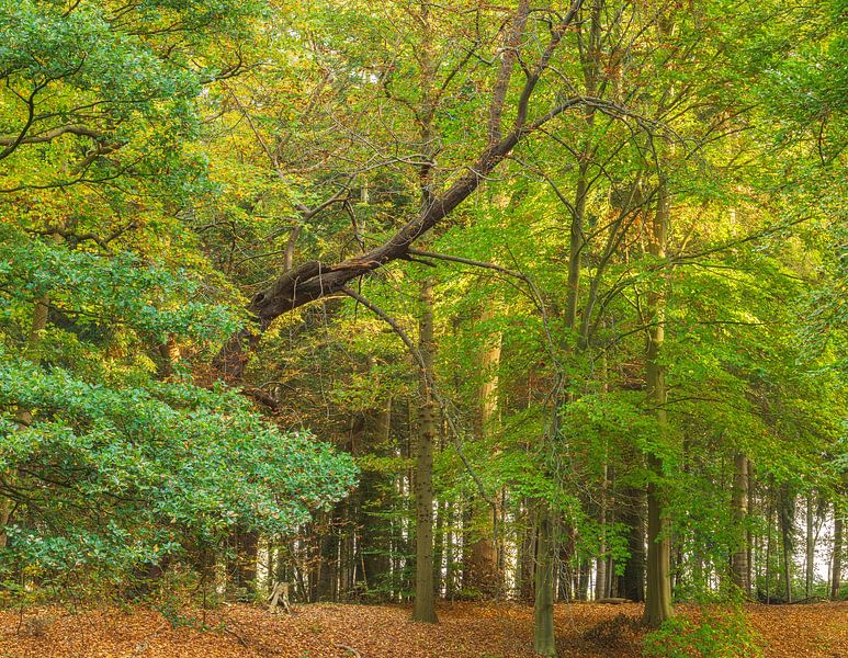 Fraeylemaborg country estate - Slochteren (Netherlands) by Marcel Kerdijk