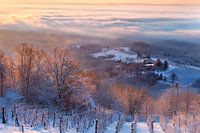 Brouillard mystérieux