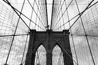 Lignes du pont de Brooklyn