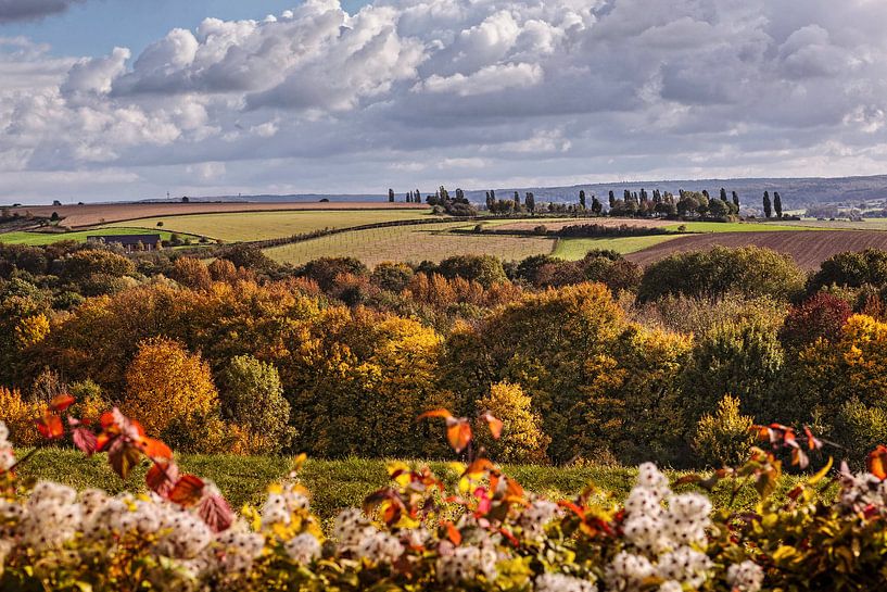 &quot;Little Tuscany&quot; near Eyserhalte by Rob Boon