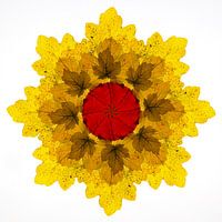 Kaleidoskop von Herbstblättern