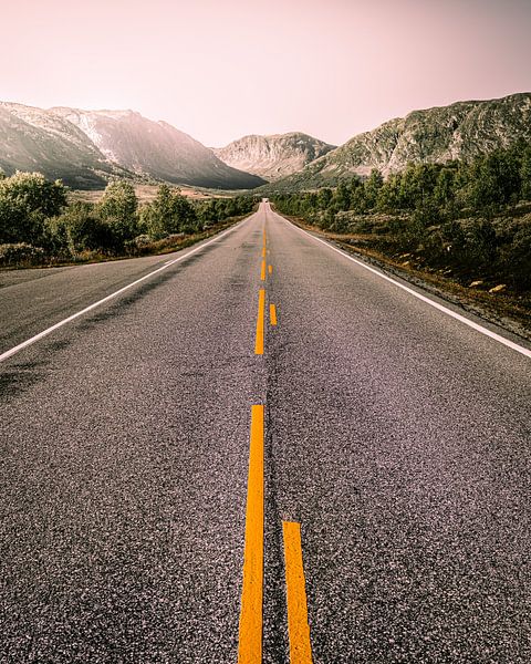 Into nowhere by Joris Machholz