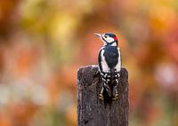 Mit Blick in eine glänzende Zukunft!