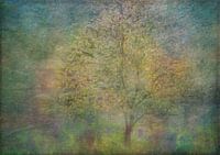 Impressions of a tree