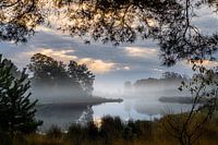 Light fog at Pebble Life