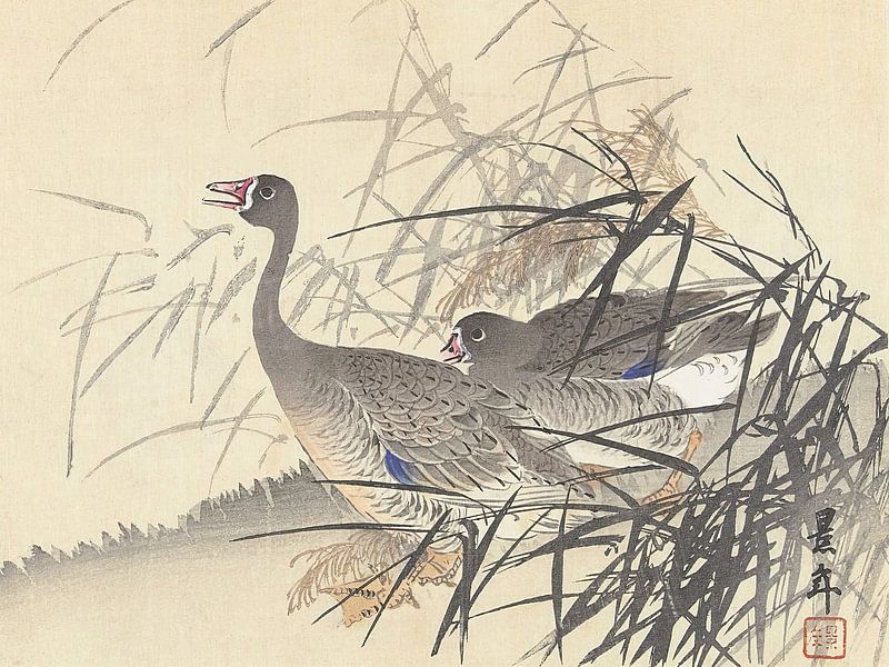 Imao Keinen - Twee ganzen tussen het riet (1892-1911) van Peter Balan