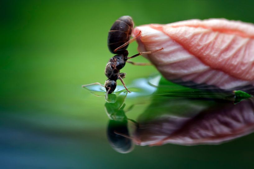 Der Durst... von Peter R