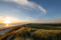 Dunes near Bjerregard in the evening