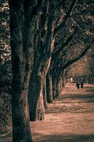 Paris, Jardins des Champs-Élysées