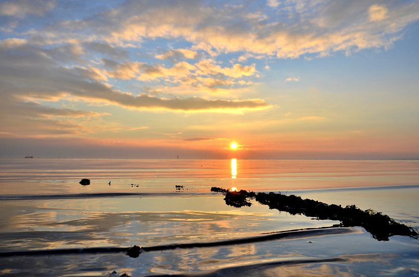Ameland/Wad par Rinnie Wijnstra (FotoAmeland )