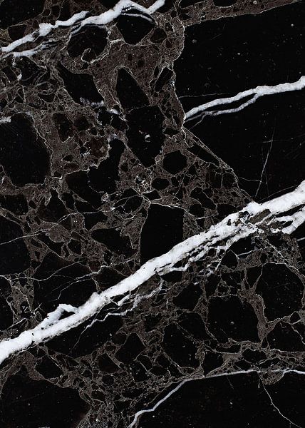 NETWORKED BLACK &amp; WHITE v4 van Pia Schneider