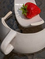 Les champs de fraises pour toujours partie 1