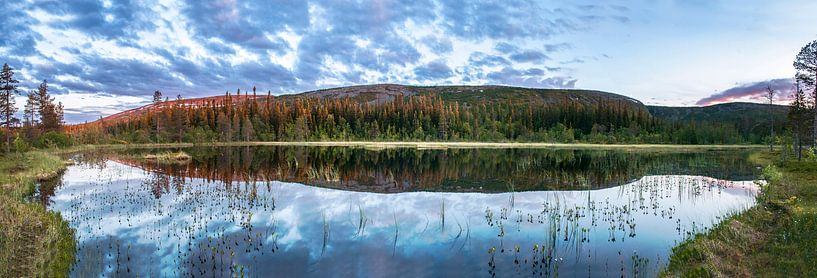 National park Fulufjället by Marc Hollenberg