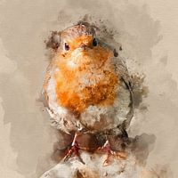 Portrait of a newborn robin