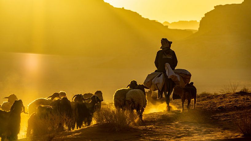 Schäfer mit Hund und Schafen in Wadi Rum, Jordanien von Jessica Lokker