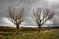 Brabantse Landschappen