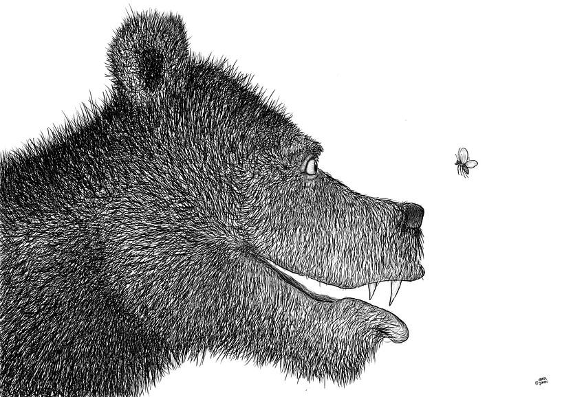 Der Bär und der Schmetterling von DuFrank Images