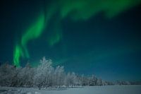 Nordlichter in Lappland 005