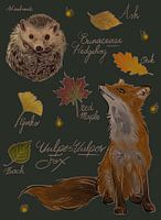 Fuchs und Igel mit Herbstlaubszene