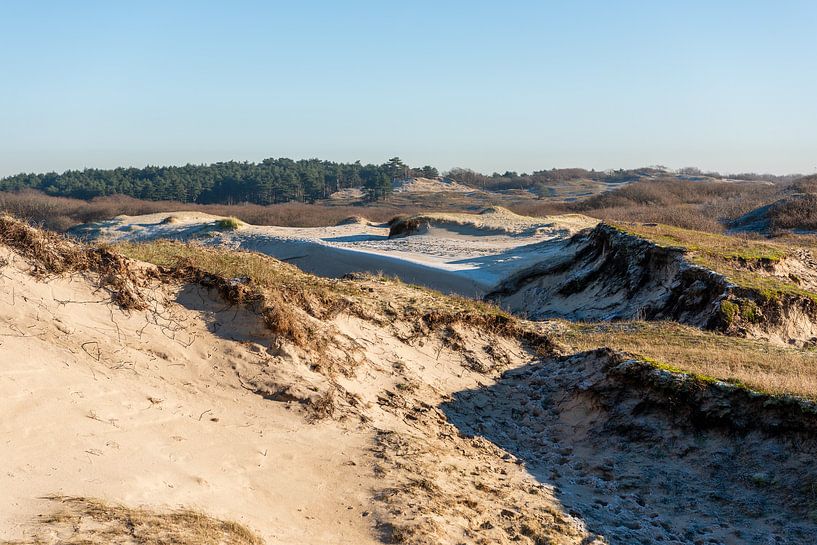 Winter atmosphere in the dunes by Rob Donders Beeldende kunst