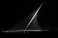 Calatrava-Harfe, Hoofddorp