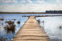 Auf der anderen Seite des Wassers