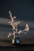 Getrocknete Blumen in schwarzer Vase in der Nachmittagssonne