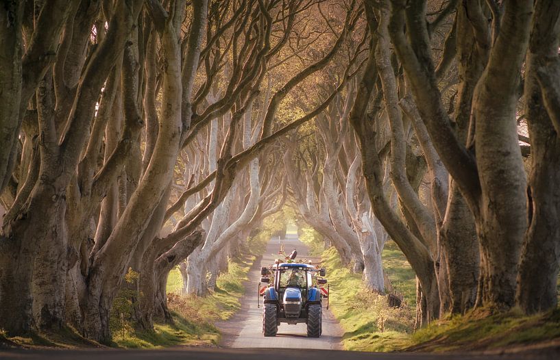 Traktor nähert sich an der Dark Hedges von Roelof Nijholt