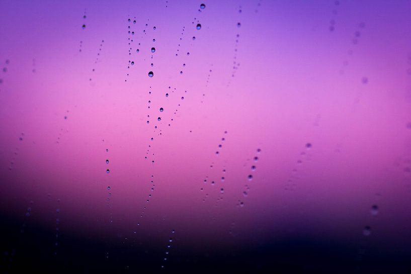 Regen bij zonsopkomst par Sim Van Gyseghem