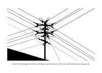 Hoe Kijkt Autisme: Netwerk
