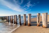 wooden breakwater on the beach along the Dutch coast in the province of Zeeland