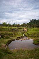 Grüne Landschaft um Guatapé Kolumbien