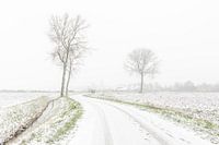 High-key photo of Snow landscape in Zeeland