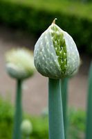 New life, new beginning !