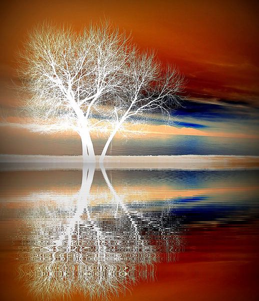 Winter boom par Renate Knapp