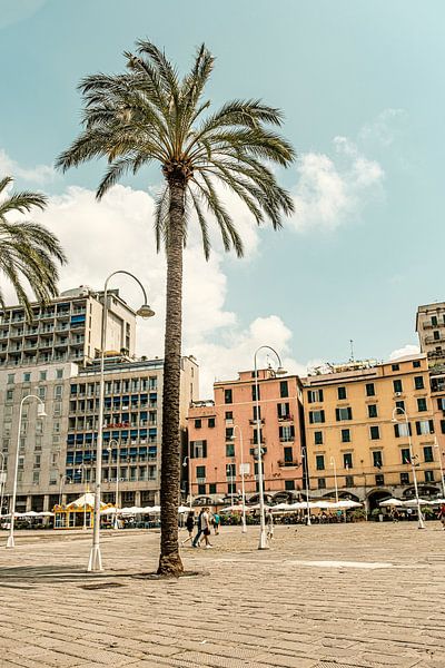 Sommer-Vibes von Lima Fotografie