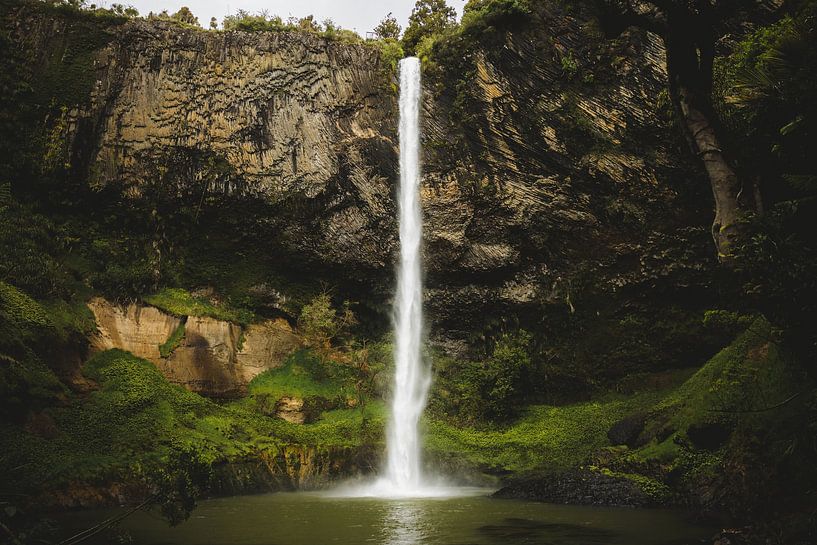 Raglan: Surfing paradise and Creative Vibe by Ken Tempelers