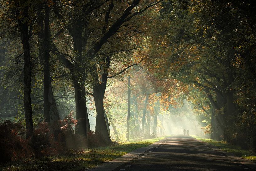 Vue à long terme par Kees van Dongen