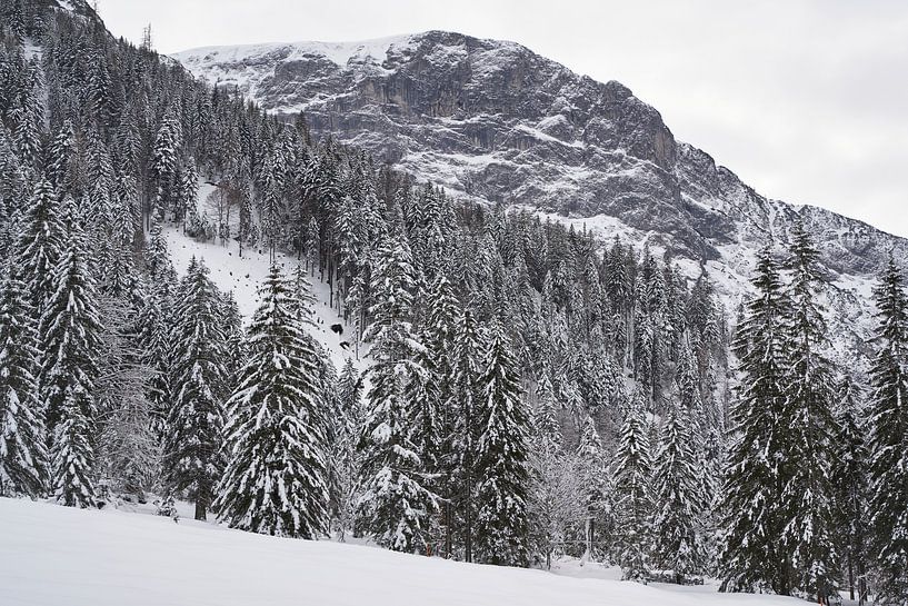 Winter in the mountains near Pertisau by Lisanne Storm