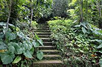 Le bref jardin de Bevis Bawa