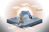 Hilfeschrei der Tiere