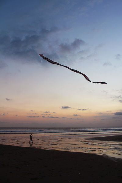 Enfant avec un cerf-volant sur la plage par Manon Leisink