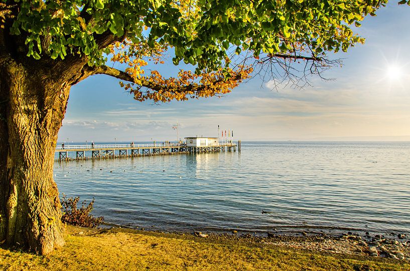 Ufer und Bootssteg Schiffsanlegestelle in Hagnau am Bodensee mit Sonne im Gegenlicht in Deutschland von Dieter Walther