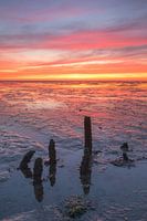 Weidshied über das Groninger Wattenmeer Nordkap