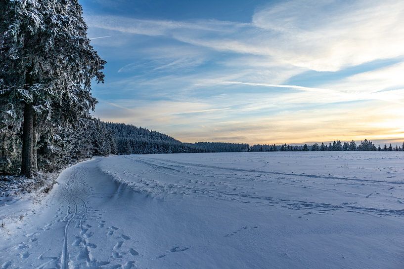 Erste Winterwanderung auf dem Rennsteig von Oliver Hlavaty