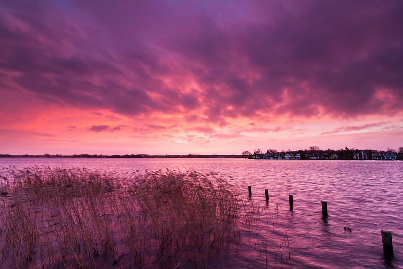 Paterswoldsemeer in Lila von robert wierenga